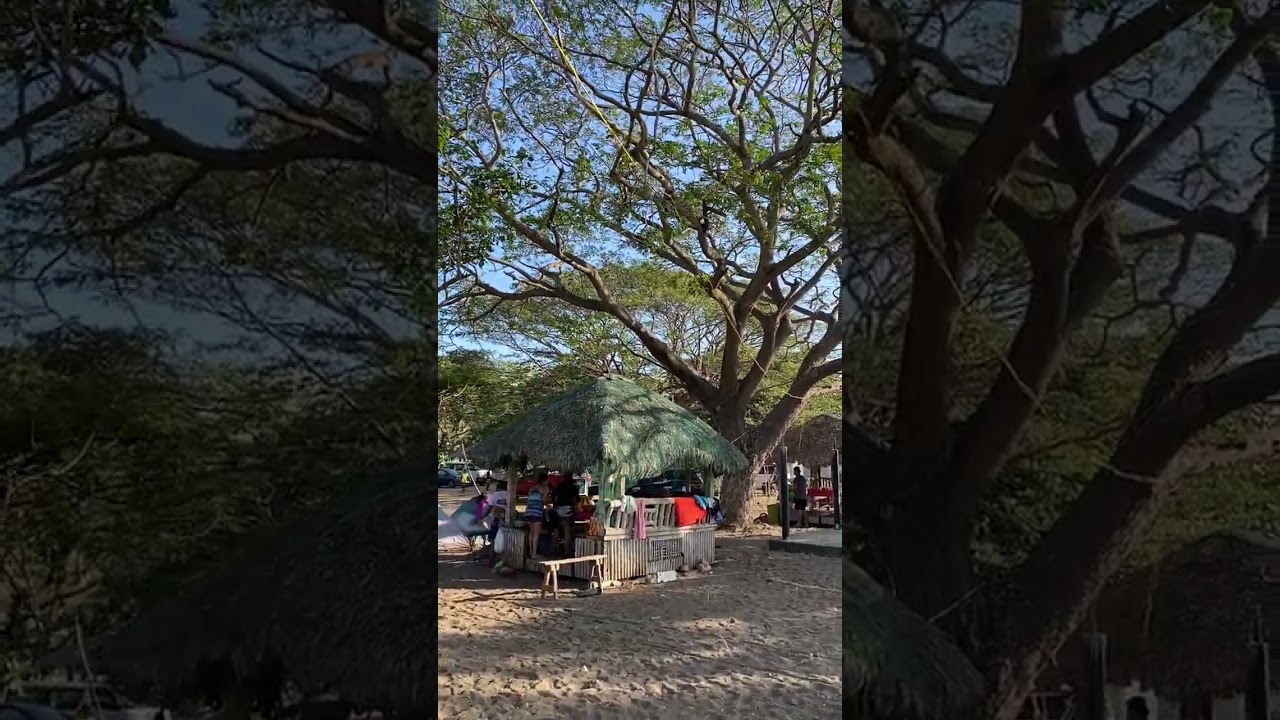 It's Super Summer 2023 finally here tara beach #shorts #fyp #makemefamous #BeachVibes #sariayaquezon