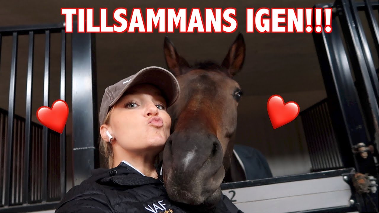 ♘ STALLVLOGG♘ HÄMTAR ÄNTLIGEN HEM MELVIN !!!