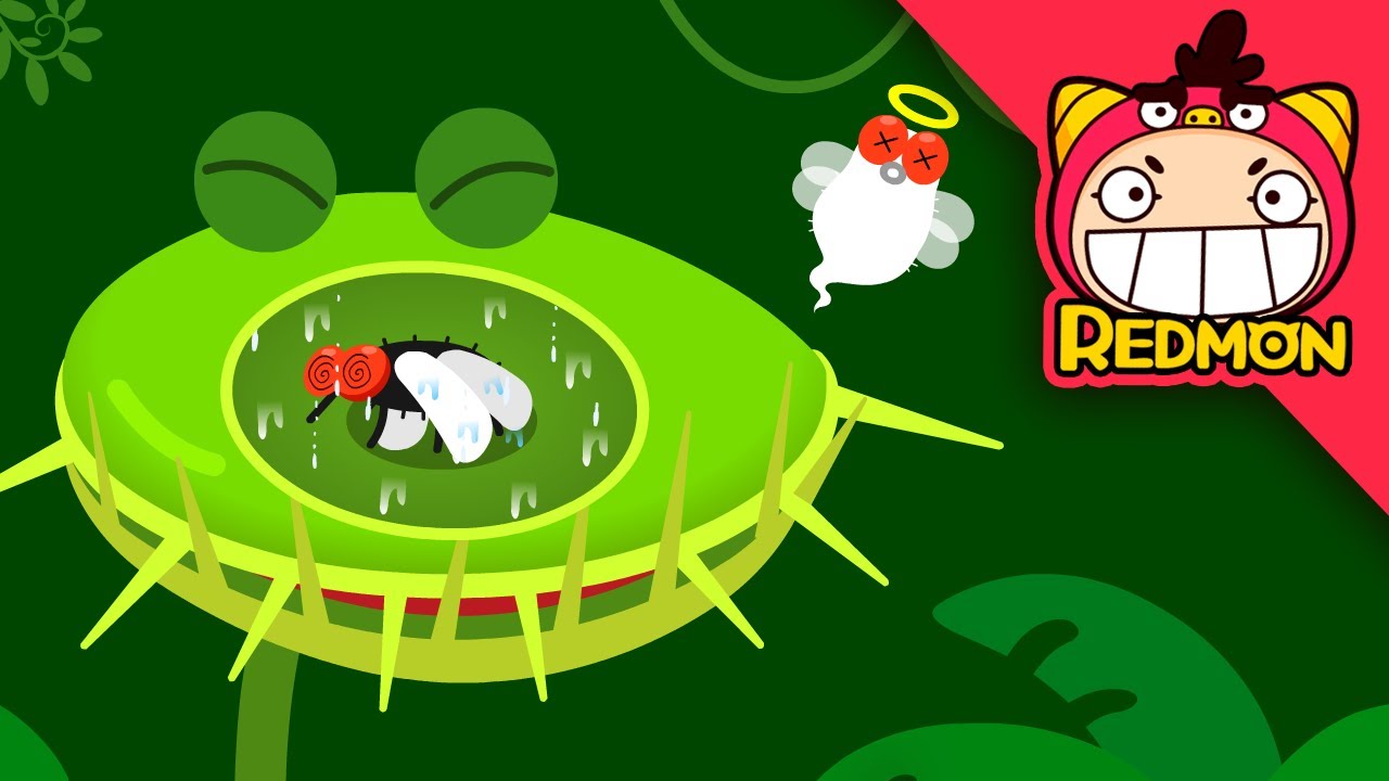 Venus Fly Trap Song | Animal songs | Nursery Rhymes | REDMON