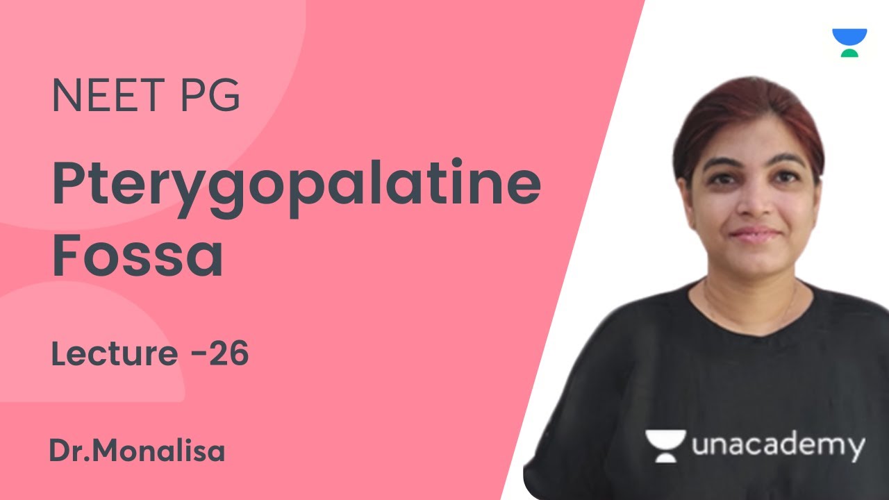 Pterygopalatine Fossa | NEET PG 2021 | Let's Crack NEET PG  | Dr. Monalisa