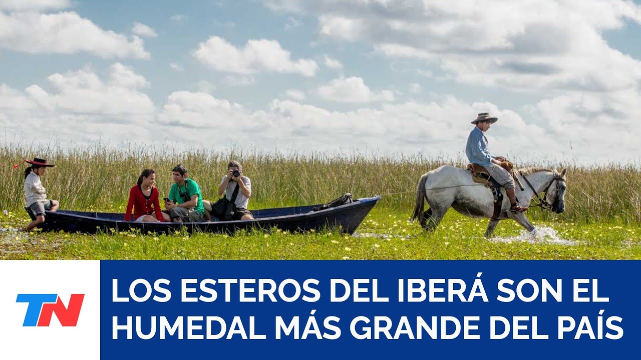 TE SIGO HASTA EL ÚLTIMO RINCÓN DEL PAÍS I Los Esteros del Iberá: el humedal más grande de Argentina