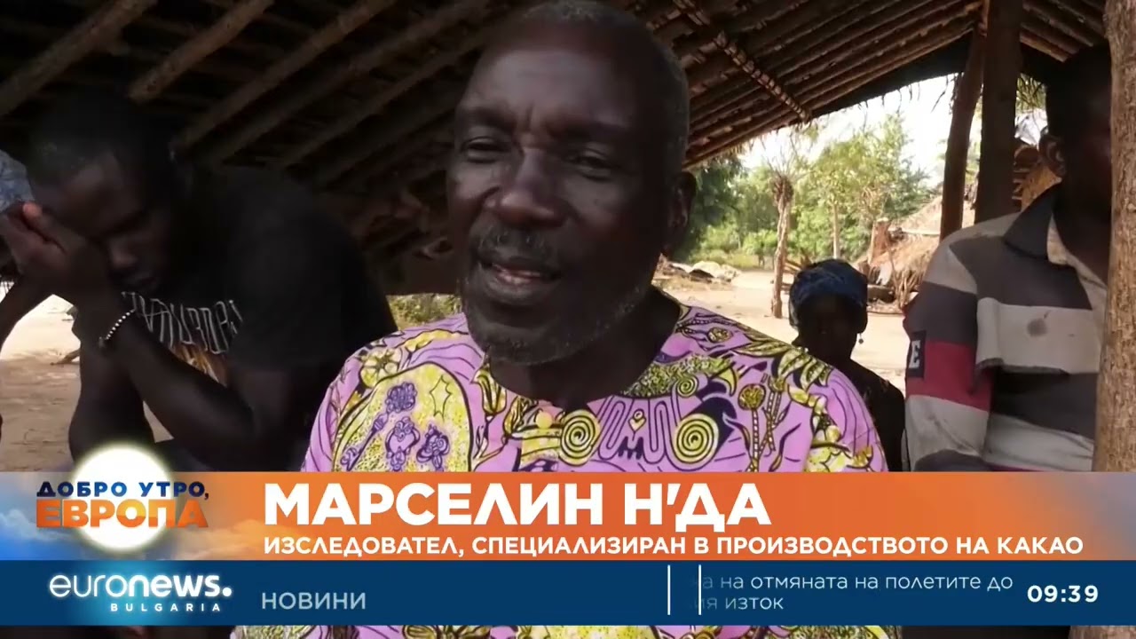 Производителите на какао в Африка са пред фалит