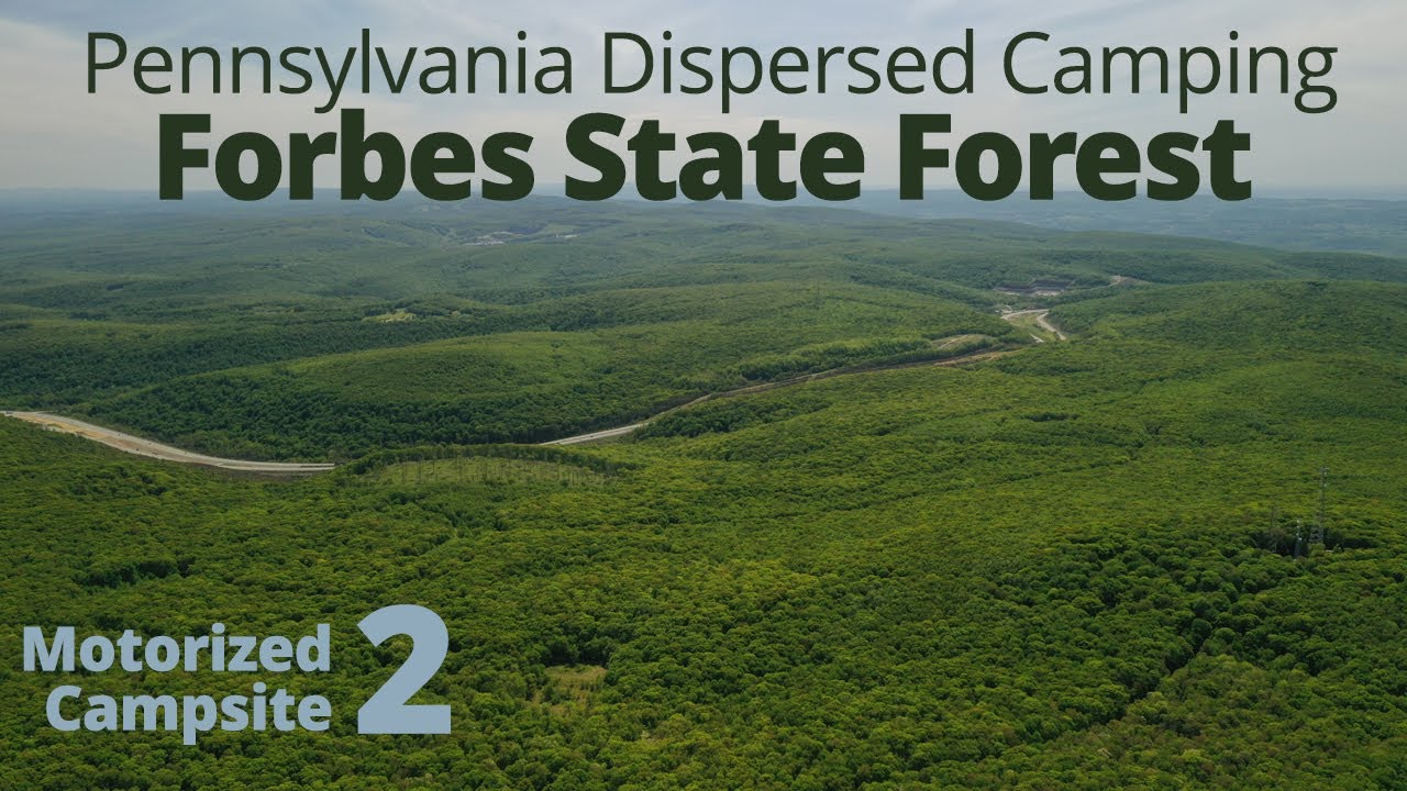 PA Camping | Forbes State Forest - Motorized Campsite 2