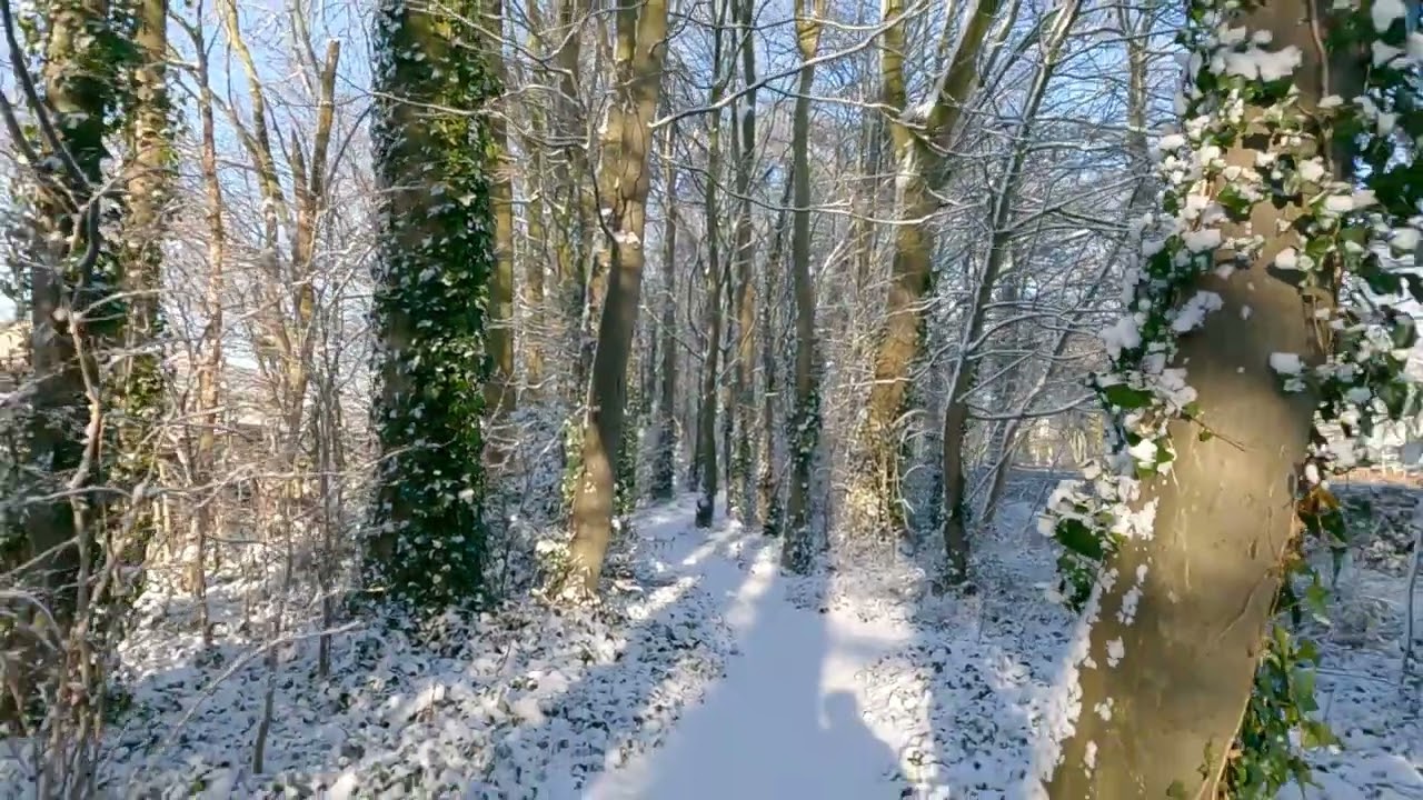 Wandelpark Ter Elst winter 2026