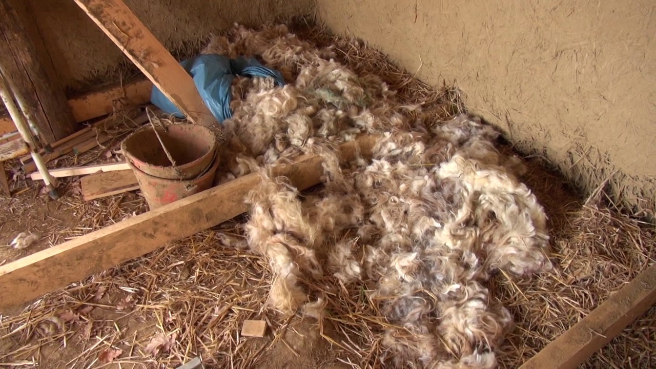 Eco-villaggi, Panta Rei