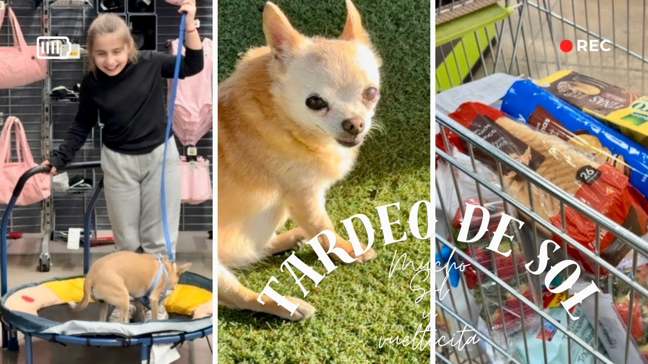 La primera vez que los guaus entran a una tienda! I Recargándonos al Sol !! 