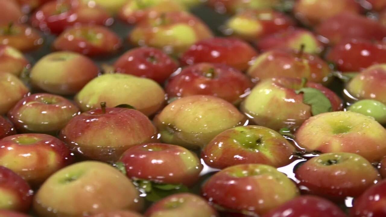 Customer Story - Elite Apple - Integrated Apple Solution