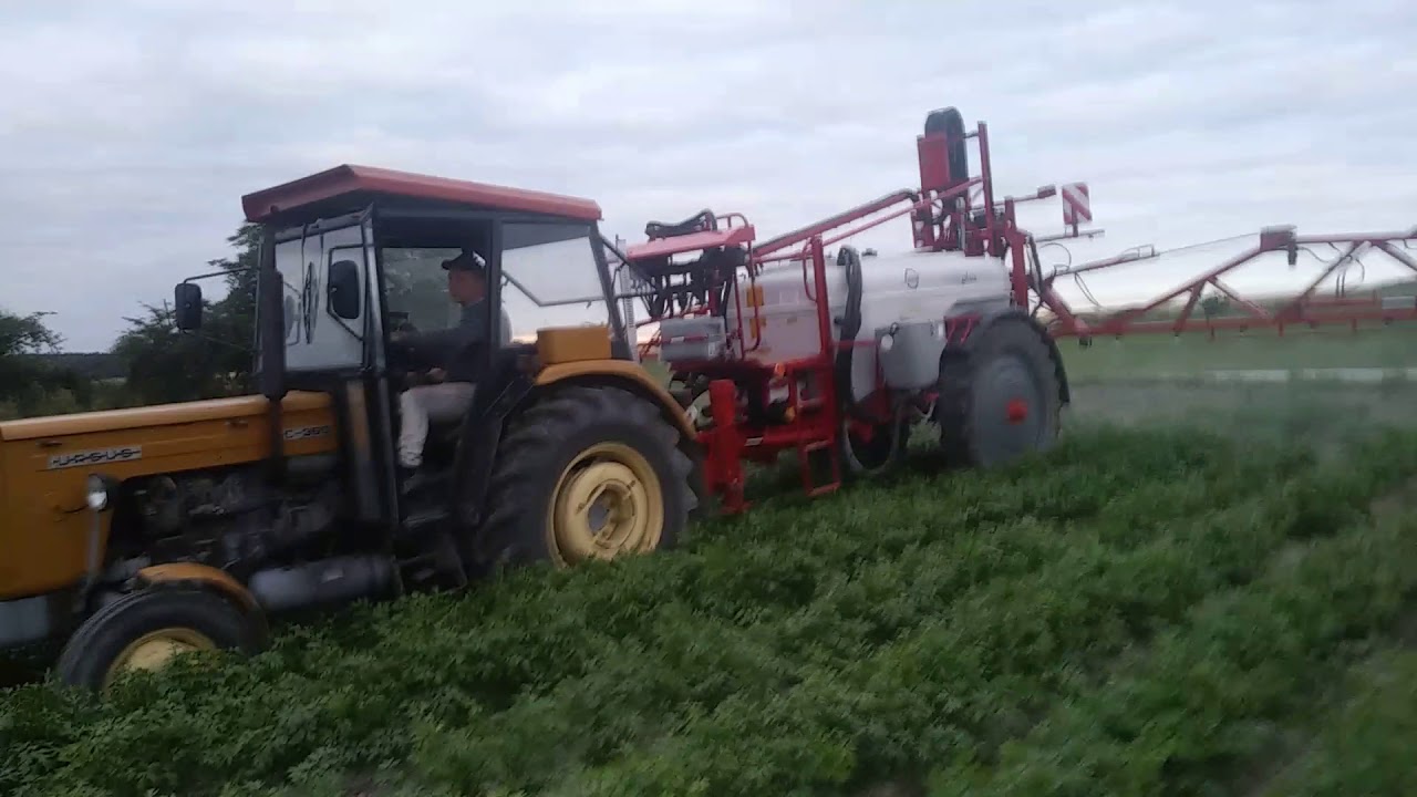 Pryskanie pietruszki ursus c360 unia pilmet 2518 rex
