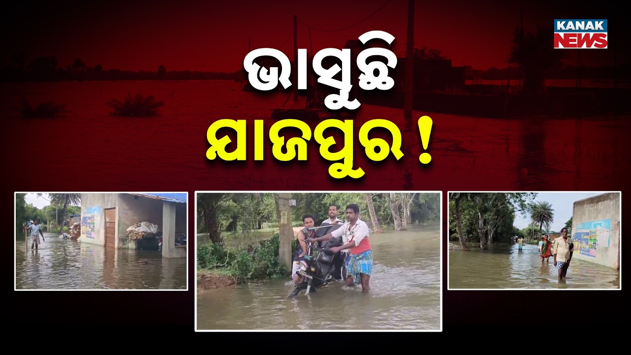 ଭାସୁଛି ଯାଜପୁର! Dasarathpur Worst Hit as Floodwater Rises