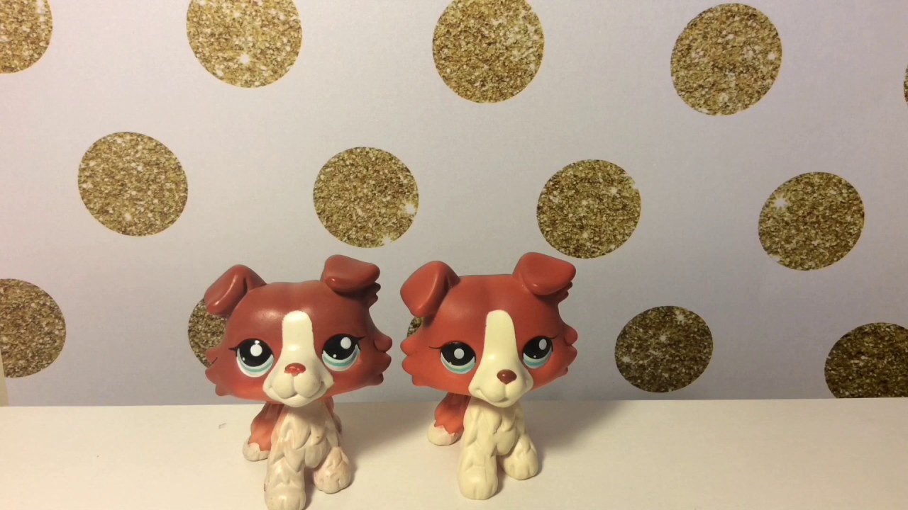Real Vs Fake Littlest Pet Shop Collie (LPSunshine)