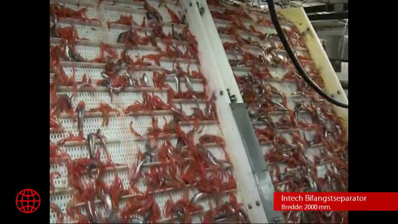 Intech produkfilm Akamalik