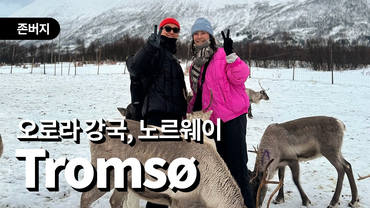 오로라 말고도 할 게 너무 많은 노르웨이 트롬쇠 🇳🇴