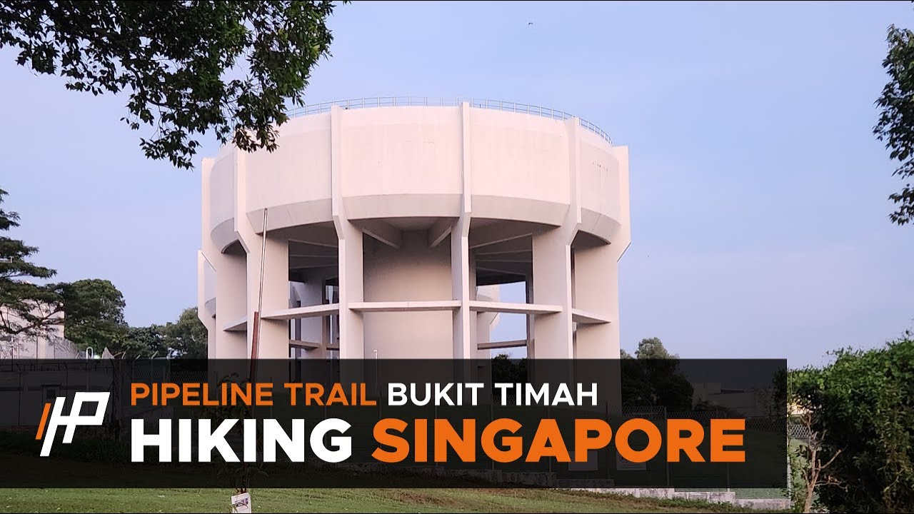[Hiking Singapore] Pipeline Trail to Bukit Timah Hill