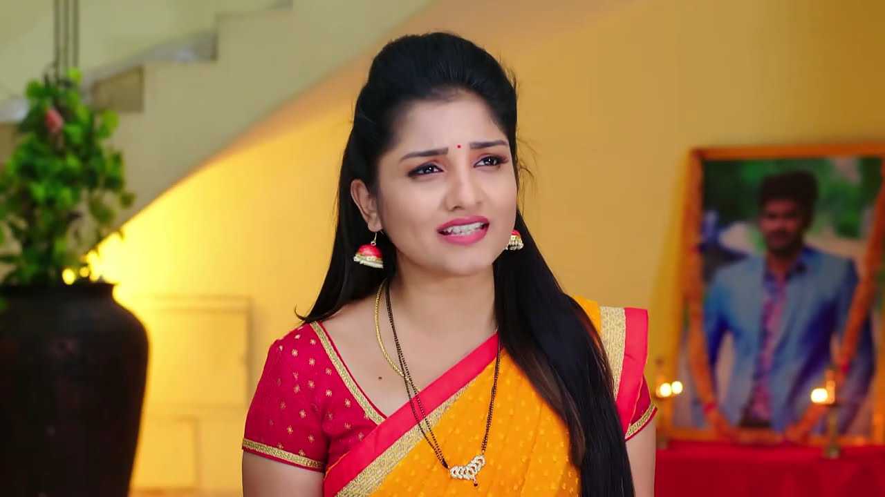 Kalyana Vaibhogam - Ep 1247 - Meghana Lokesh - Telugu Tv Serial - Zee5 Telugu Classics