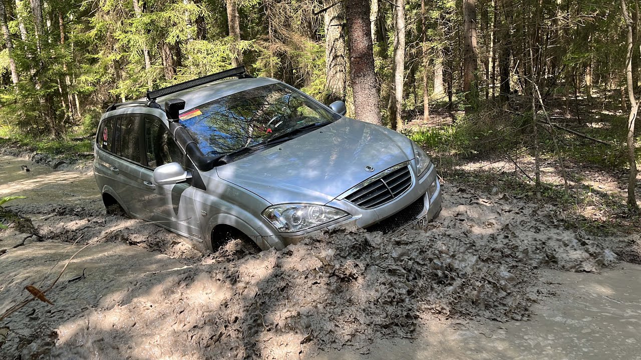 Эта дорога ВСЕХ шокировала! Сложный маршрут в лесу, Нива УАЗы и SsangYong преодолевают бездорожье.