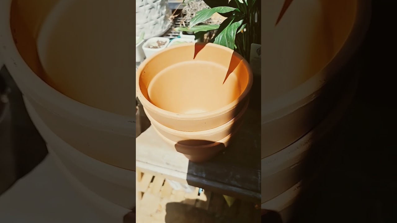 plastic or ceramic flower pots or dose it even matter? #garden #greenthumb #plant