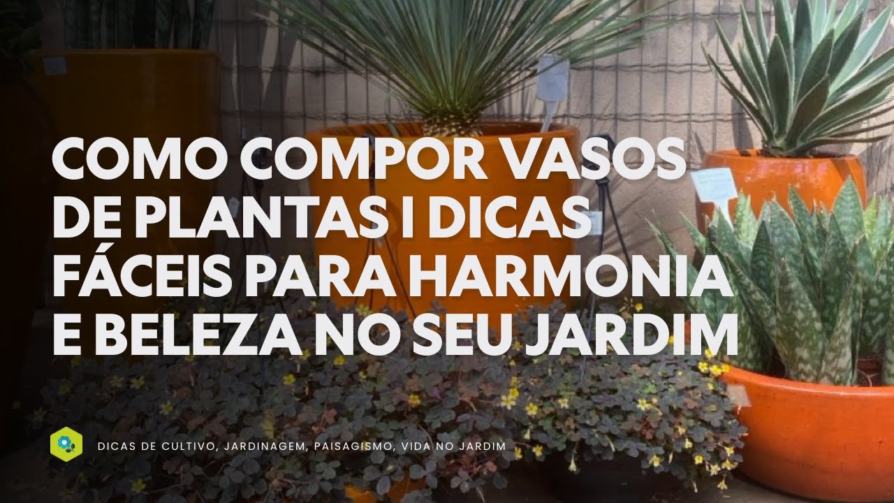 5 Dicas FÁCEIS para Harmonia e Beleza nos Vasos de PLANTAS
