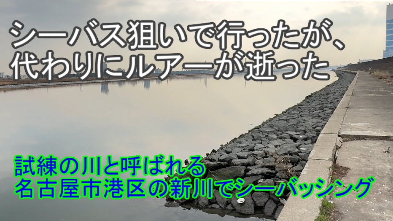 【試練の川】名古屋市港区の試練の川とよばれる新川でシーバッシング