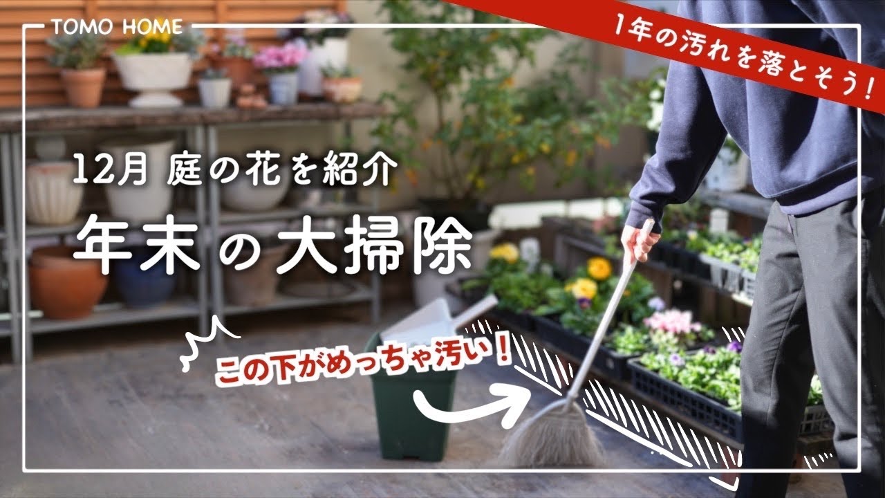 【大掃除】1年間溜めた汚れを落とそう！12月のテラスガーデンツアー【品種紹介】