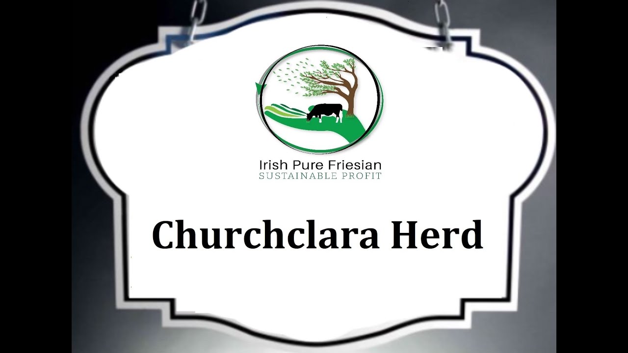 Irish Pure Friesians video series 2021 ~ Bill O'Keefe