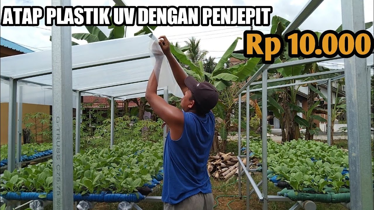 Cara memasang atap plastik UV dengan dengan penjepit kertas, sangat mudah & murah