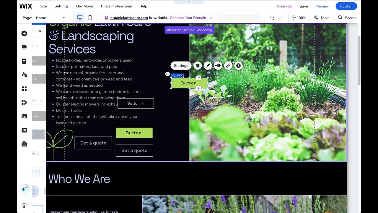 Customizing Wix Buttons
