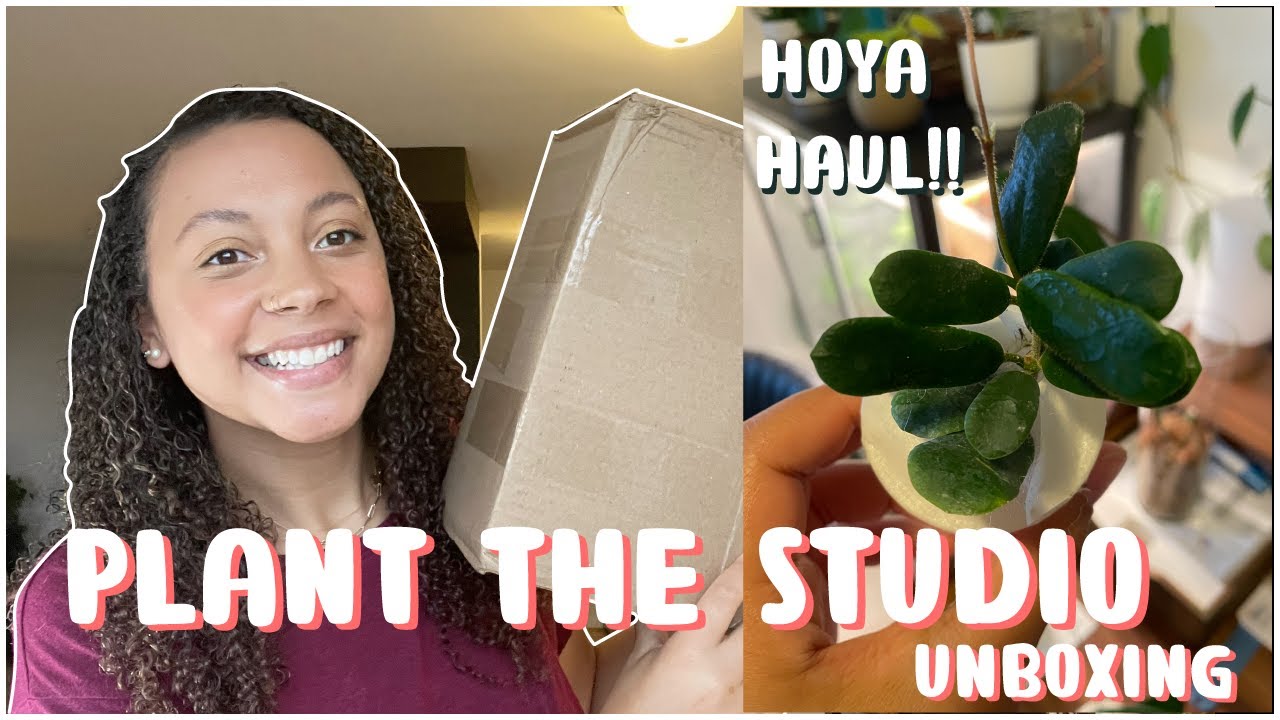 Plant The Studio Unboxing | HOYA HAUL!!