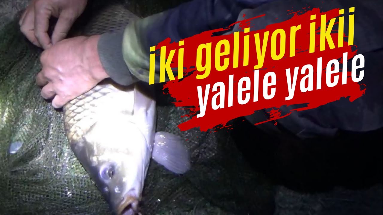 8 GÜN 8 GECE SAZAN KAMPI | 2.BÖLÜM | #Kamp#sazan#balıkavı#sazanavı#camping #fishing