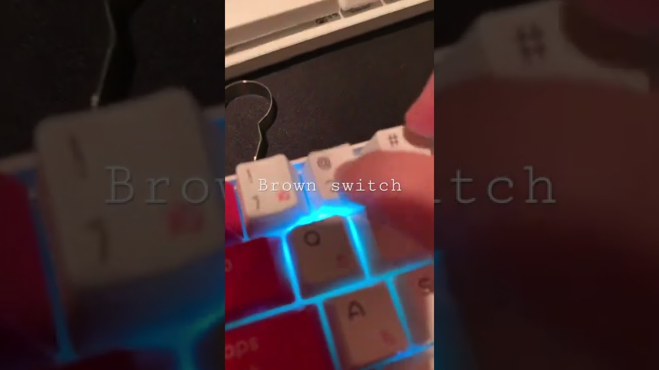 Blue switch vs brown switches