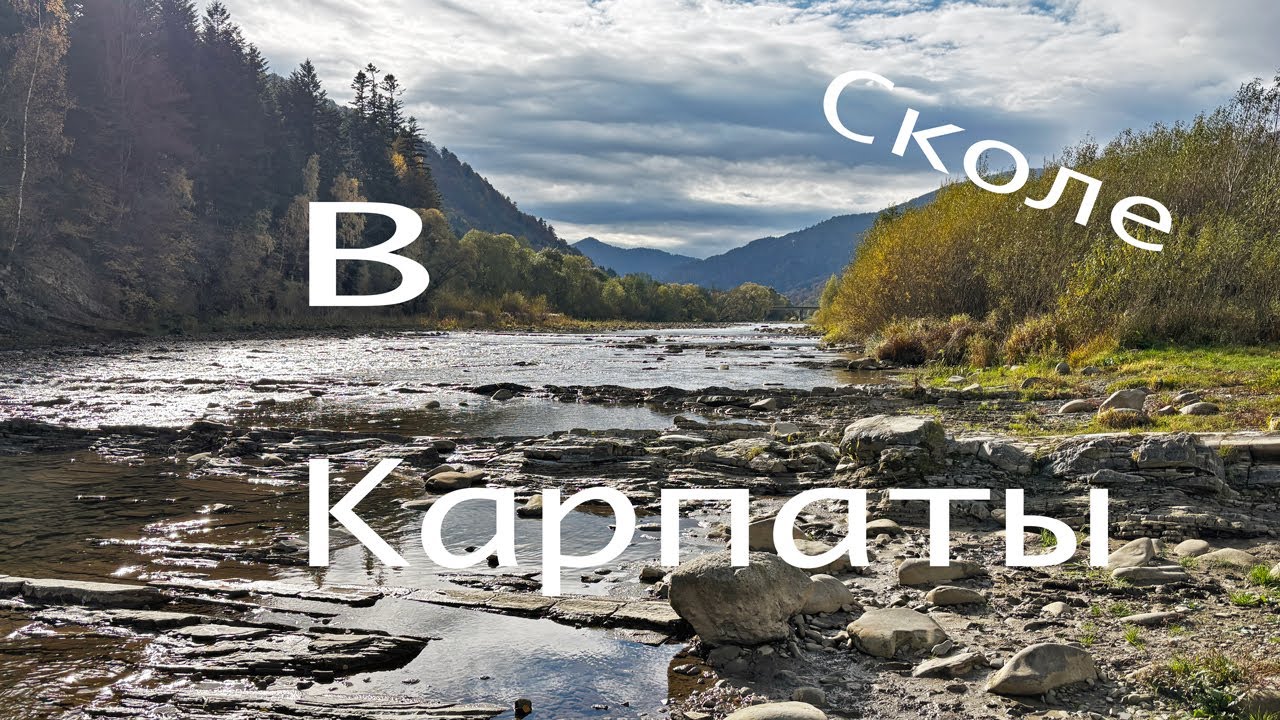 ПВД в Сколе