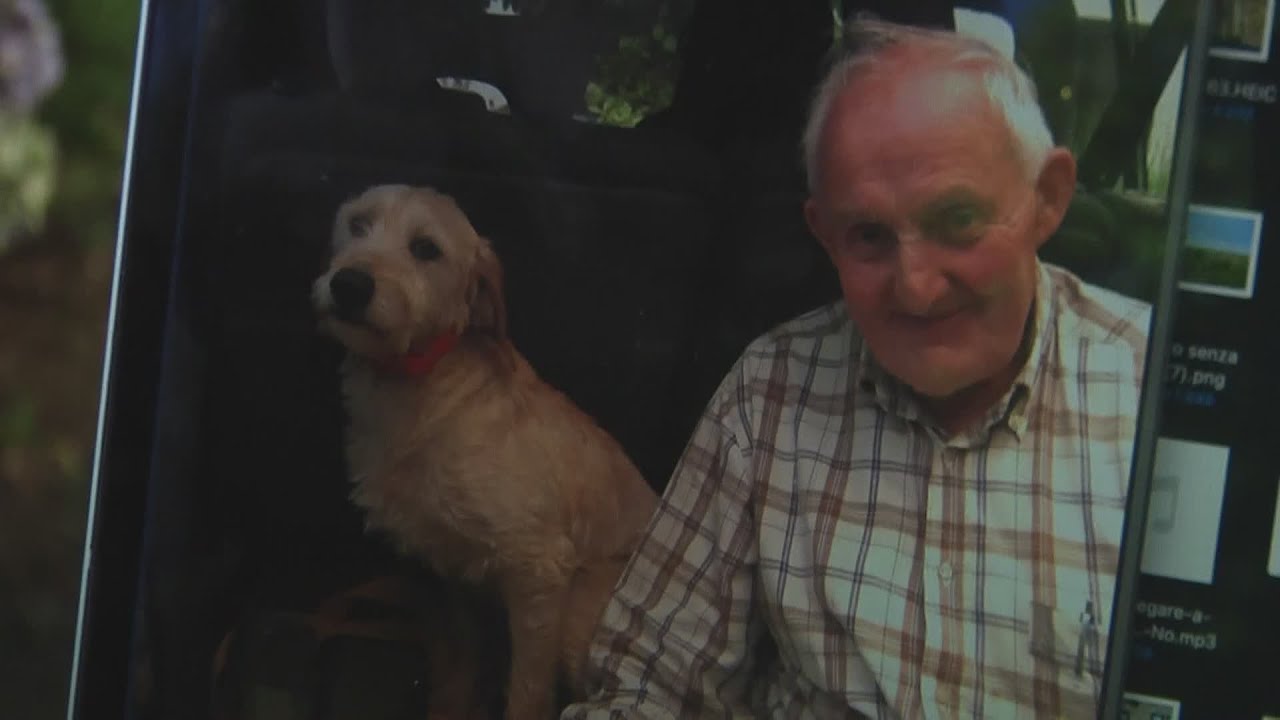 Attacco di lupi, ucciso un altro cane