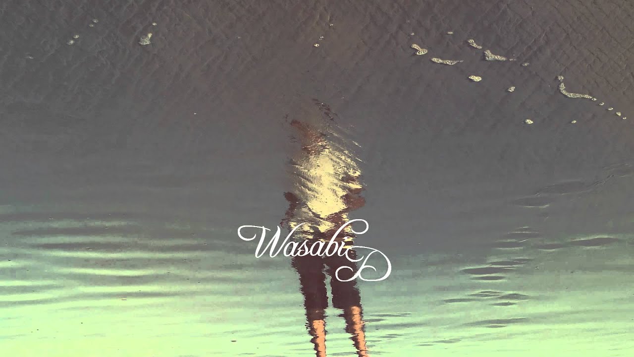 Chelsea Lankes & EMBRZ - Visions (DJ Topsider Mix) [Lyrics]