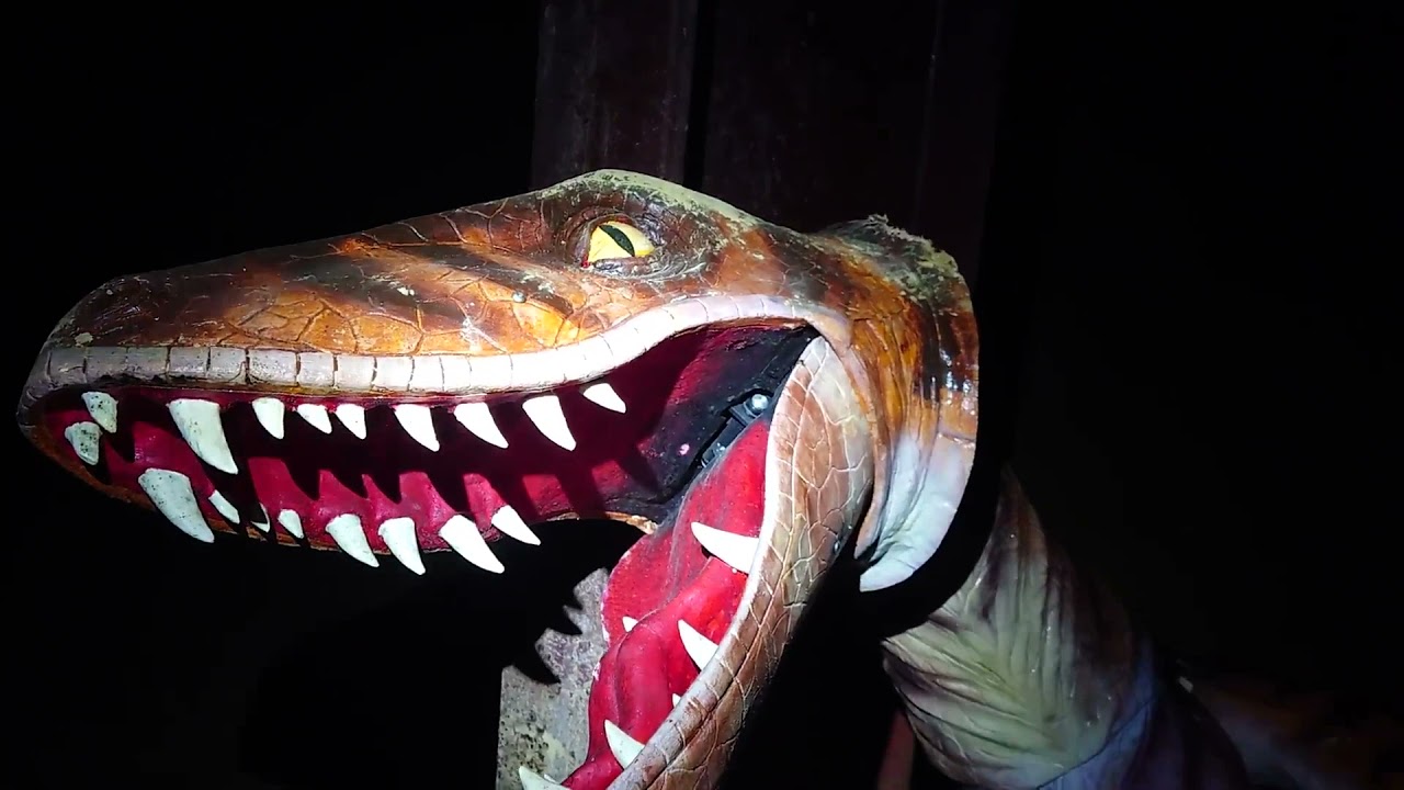 The Ultimate, Toad Hole and Raptor Attack (Abandoned Rides at Lightwater Valley) - November 2021
