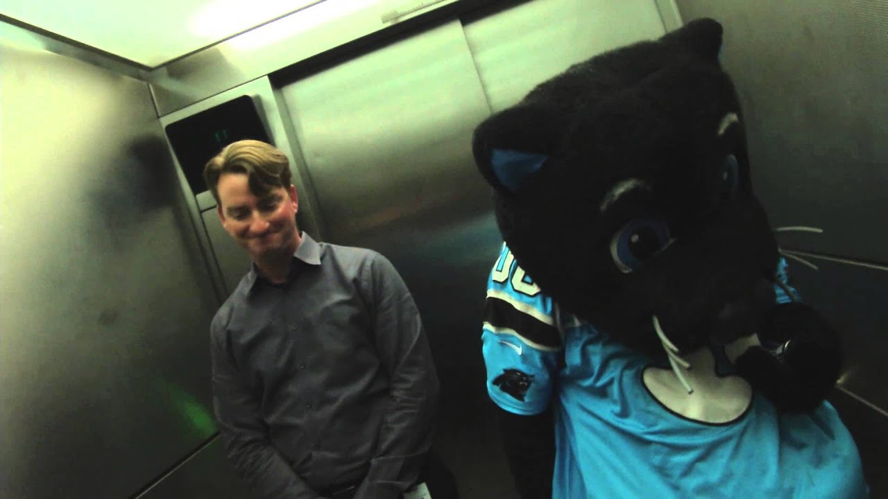 Sir Purr & Bengals Fan