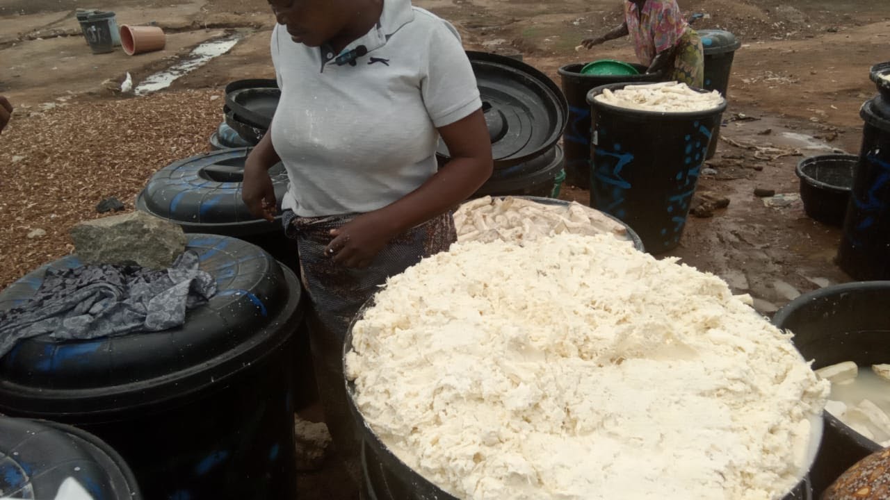 Kwali, Abuja Nigeria, Cassava Flour Production with Clevenard com