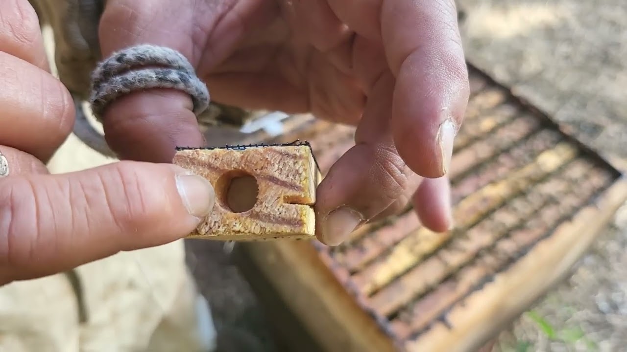 Tecnica de Introduccion de Abeja Reina