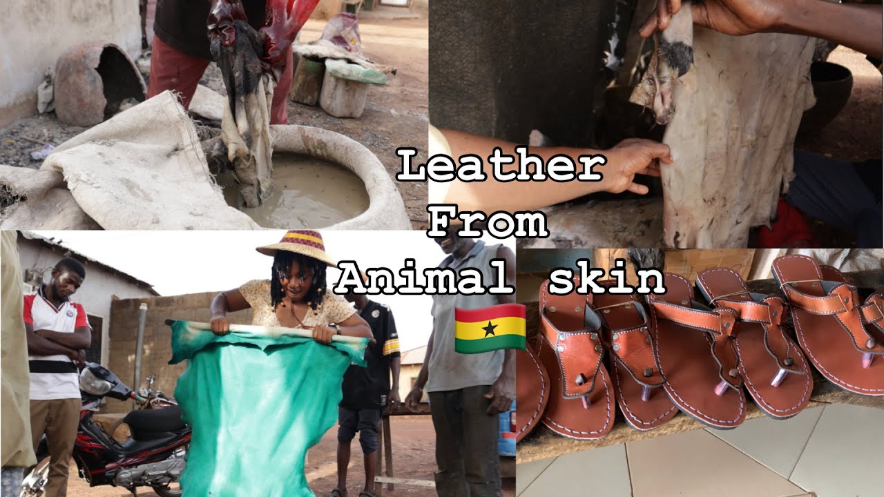 how ANIMAL SKIN is turned into LEATHER || handmade in Tamale Ghana || leather tanning business