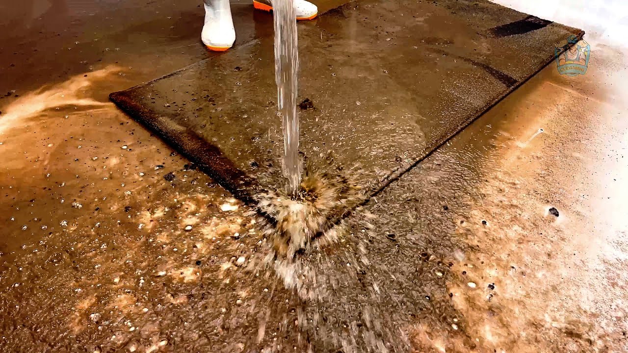 Mud Off, Shine On – ASMR Rug Rescue