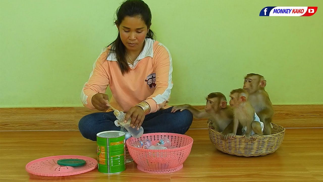 Brother Kako And Sister Luna With Tiny Olly In Sit In Basket Waiting Mom Prepare Milk