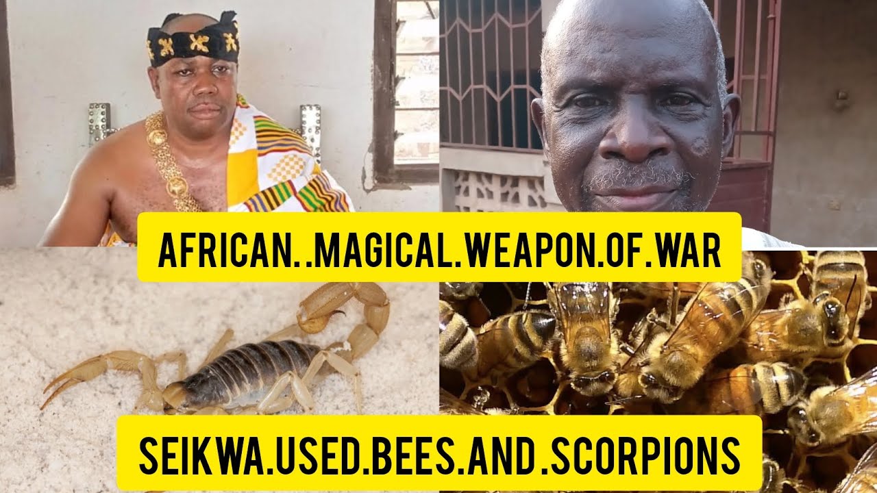 Kulango of Seikwa in Bono Region of Ghana confirm the use of bees as weapons of war.#african#h&h#