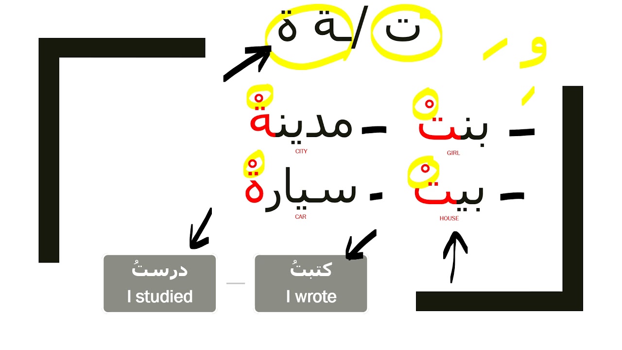 Arabic Language -Beginners to Intermediate Level- Video 352 