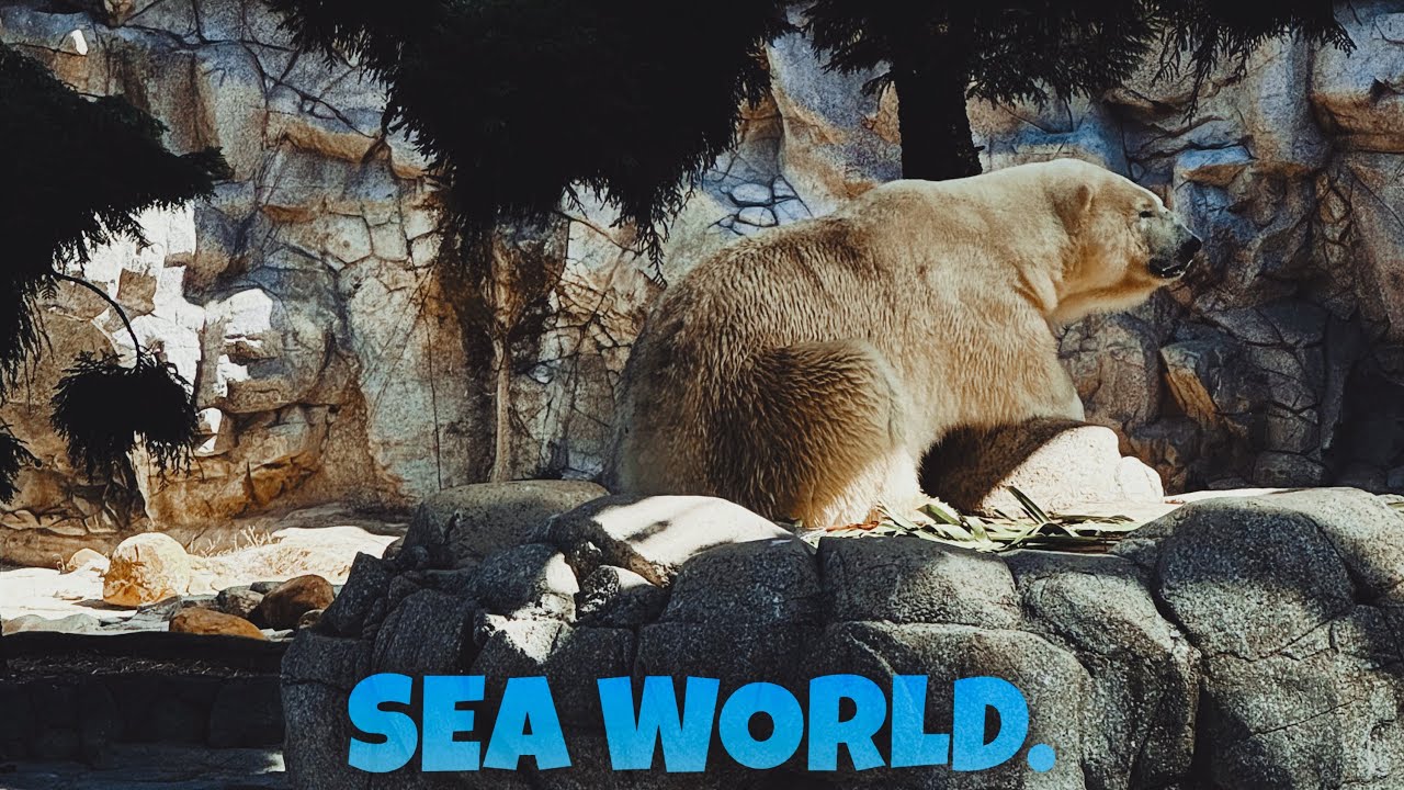 Sea World - (Gold Coast, Australia.)