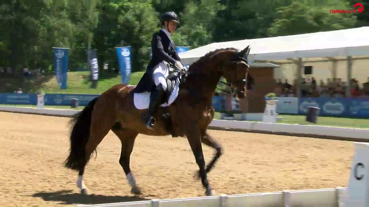 Siegerin Aikje Fehl und Chilly Jam im St. Georg Special von Pferd International München