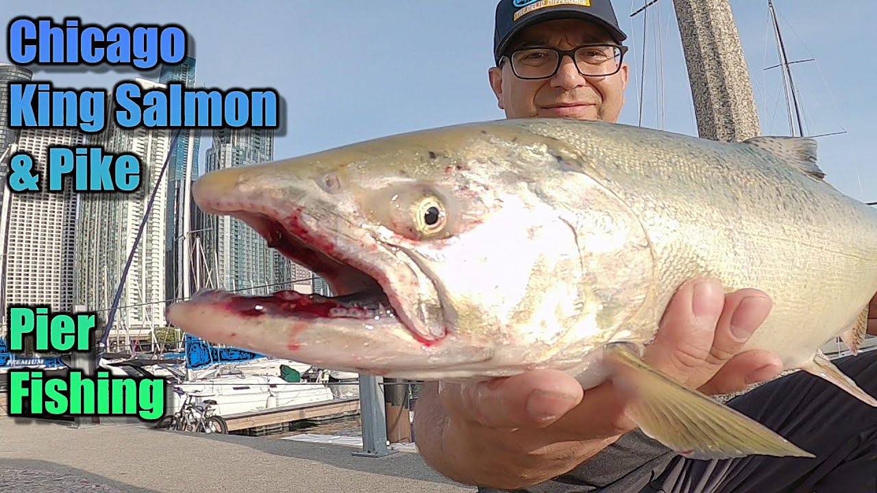 King Salmon & Pike, Lake Michigan Chicago Pier Fishing. 2024