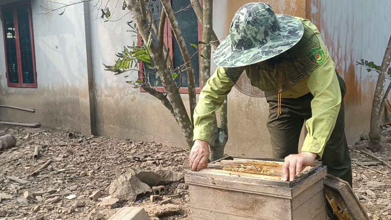 Ong chị vân sắp toang rồi các bác 