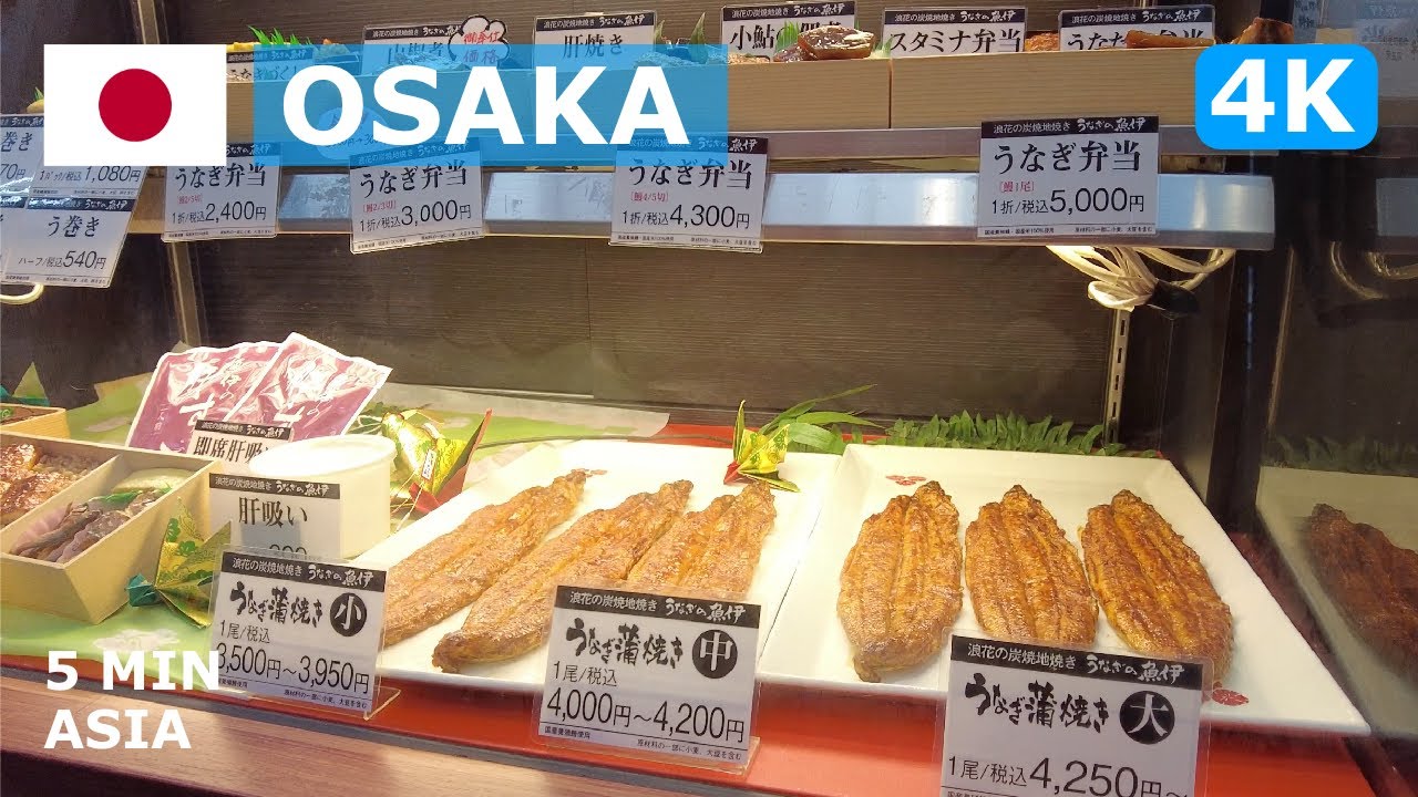 🇯🇵 Japan - Osaka: 5 Minutes Walking Tour - 4K