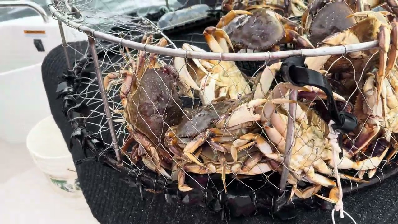 Canada - Dungeness Crabbing in Lund British Columbia