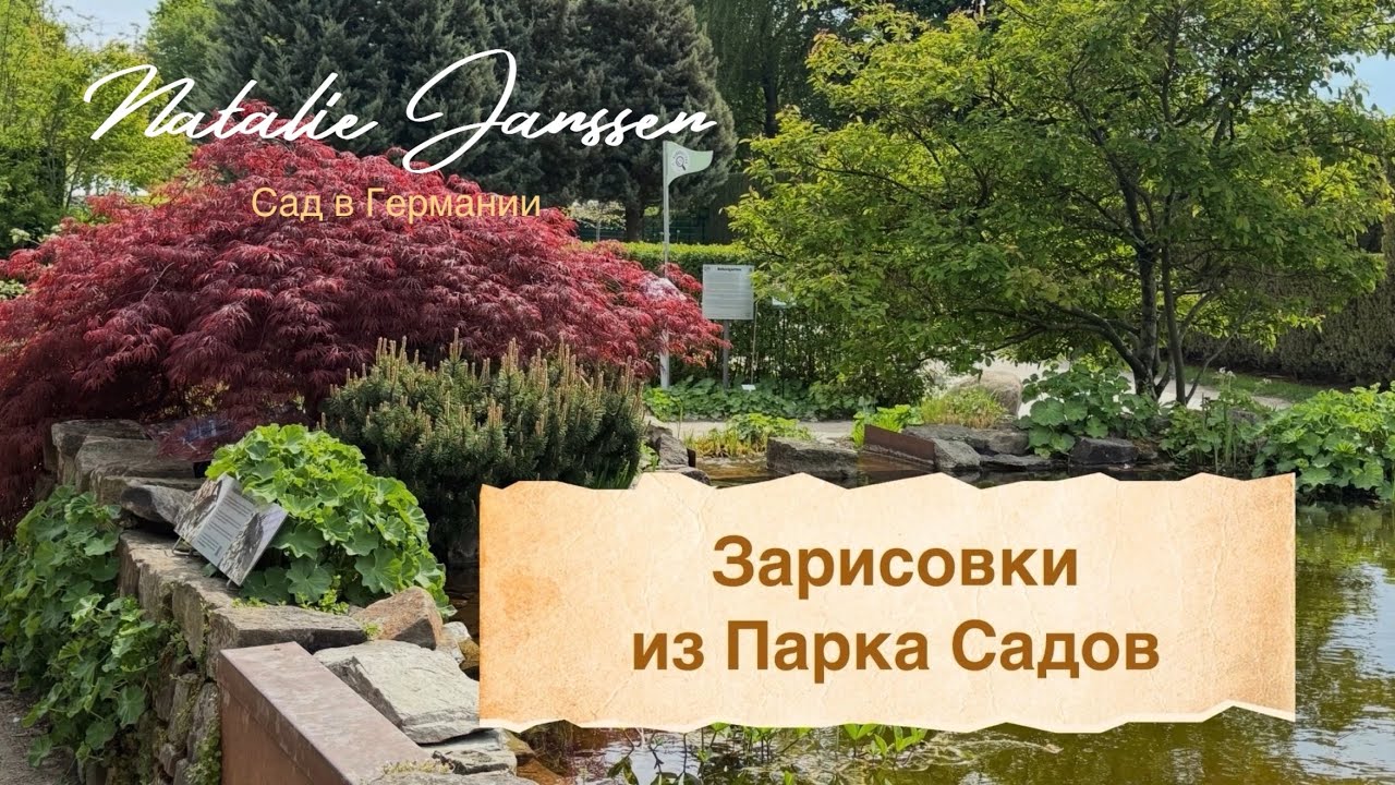 Прогулка- релакс в Парке Садов 🌳 Картины мая 🌳Цветущие рододендроны