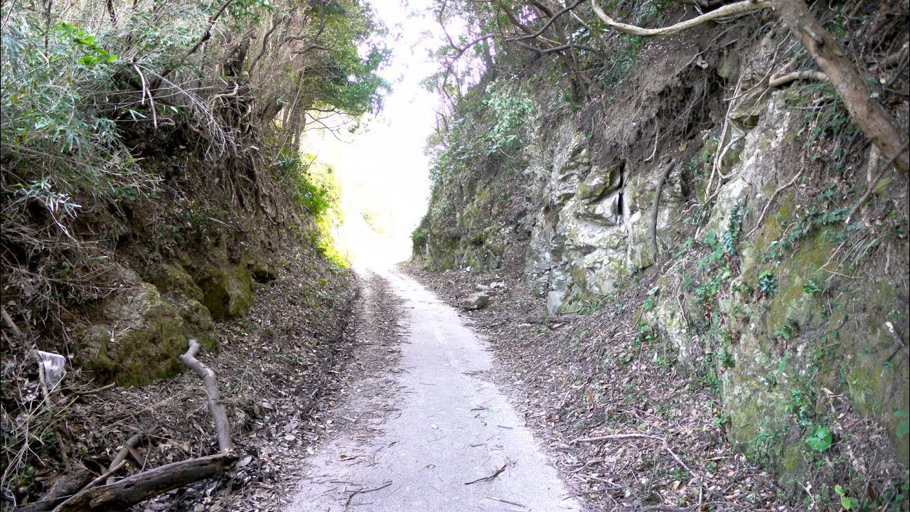 房総往還を歩く　船橋～館山　Ver2 0