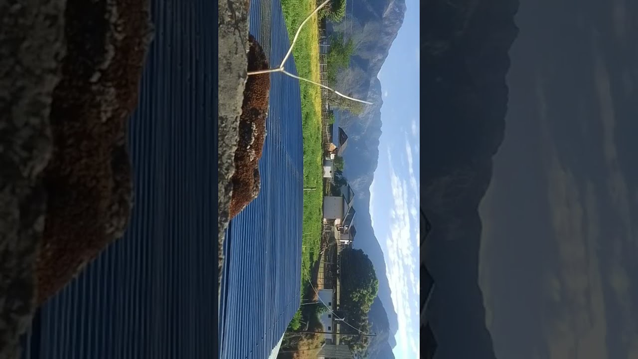 🎬 Best Entertainment Videos | Fun & Enjoyment 🎉